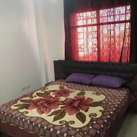 Apartment لا يوجد *
